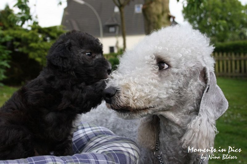 Arc-en-ciel Antares 2009-06-17 (40).JPG